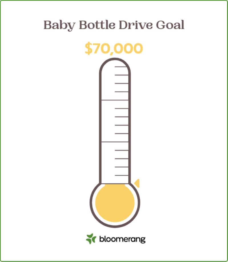 fundraising-goal (800 x 922)