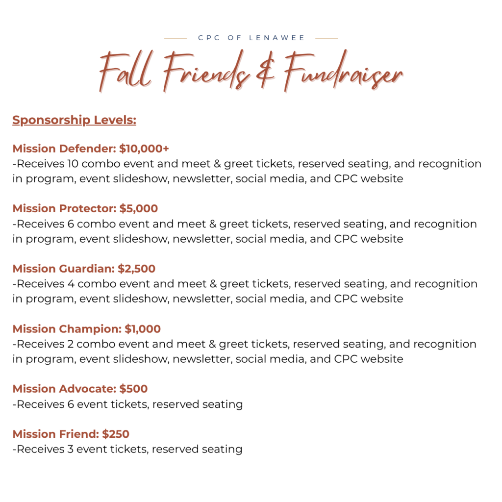 FFF2025 Sponsorship Levels for Web (1)